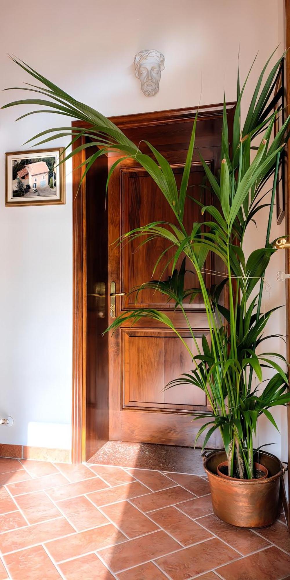 Casa Due Marie Marano Sul Panaro Hotel ภายนอก รูปภาพ